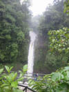 tropical hardwood forests of Costa Rica